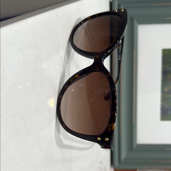 Michael Kors Black and Brown Sunglasses with Classic Design